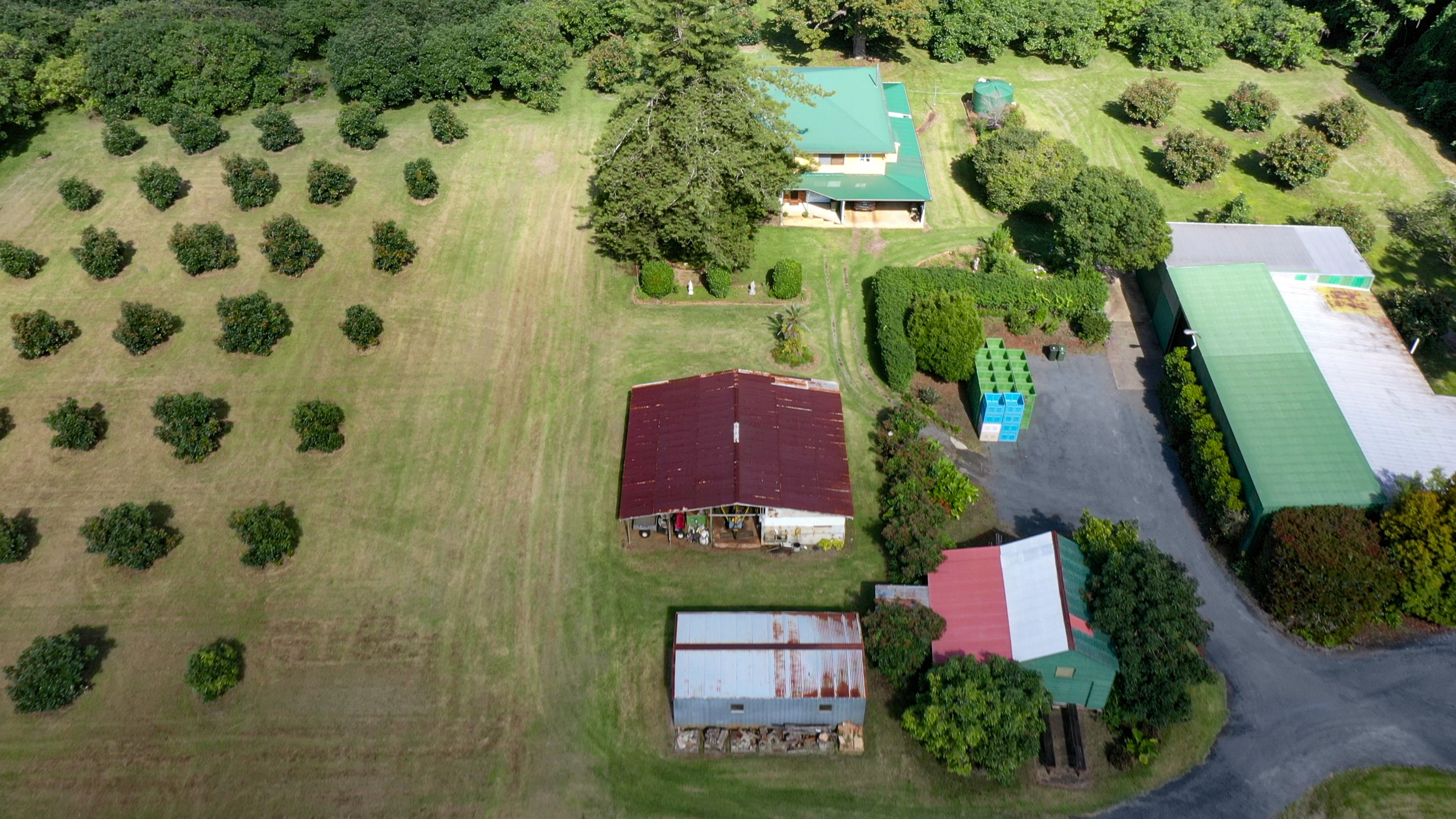 30 Kidd Street, Tamborine Mountain QLD 4272, Tamborine Mountain - Thumbnail 4