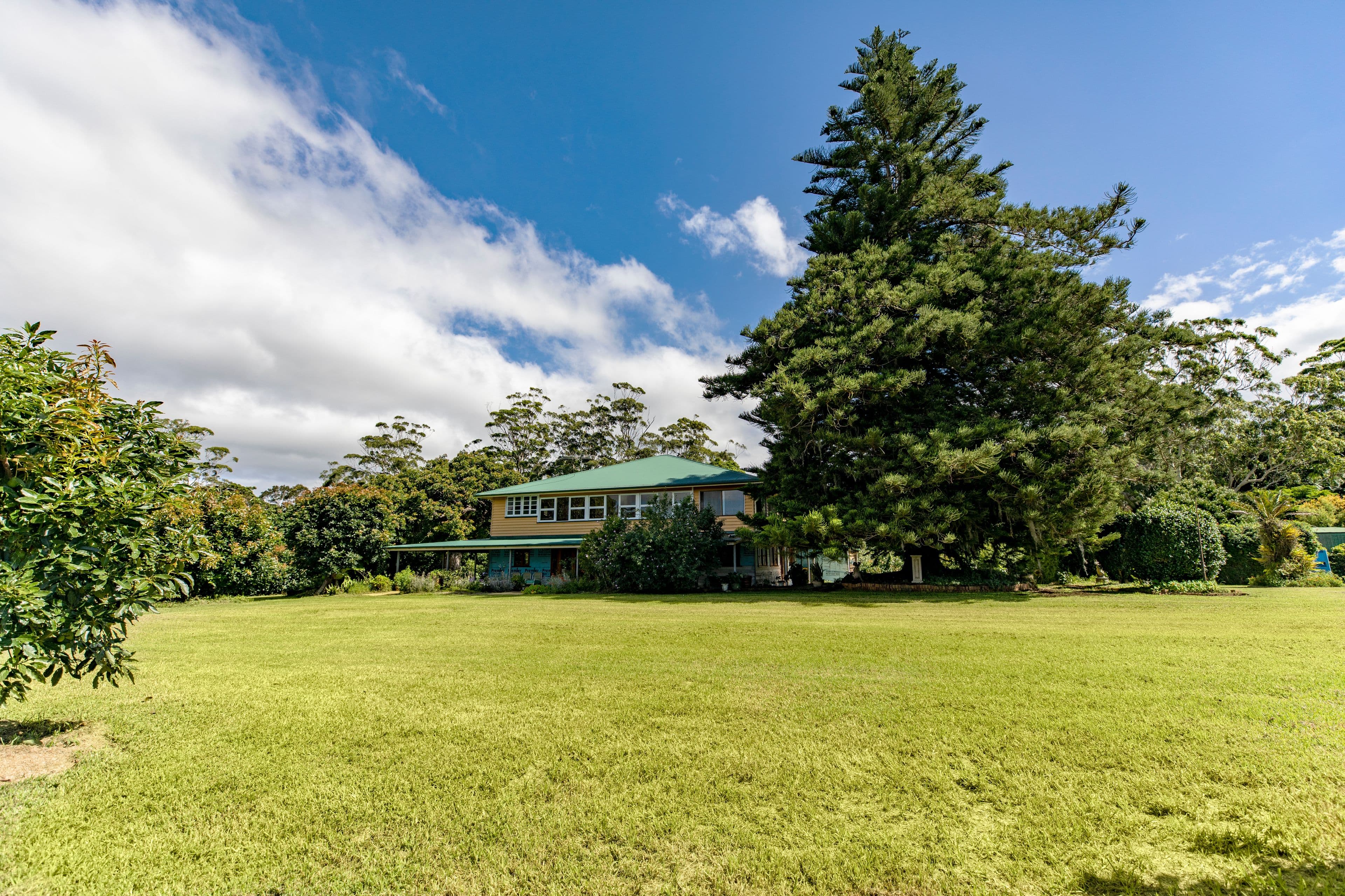 30 Kidd Street, Tamborine Mountain QLD 4272, Tamborine Mountain - Thumbnail 5