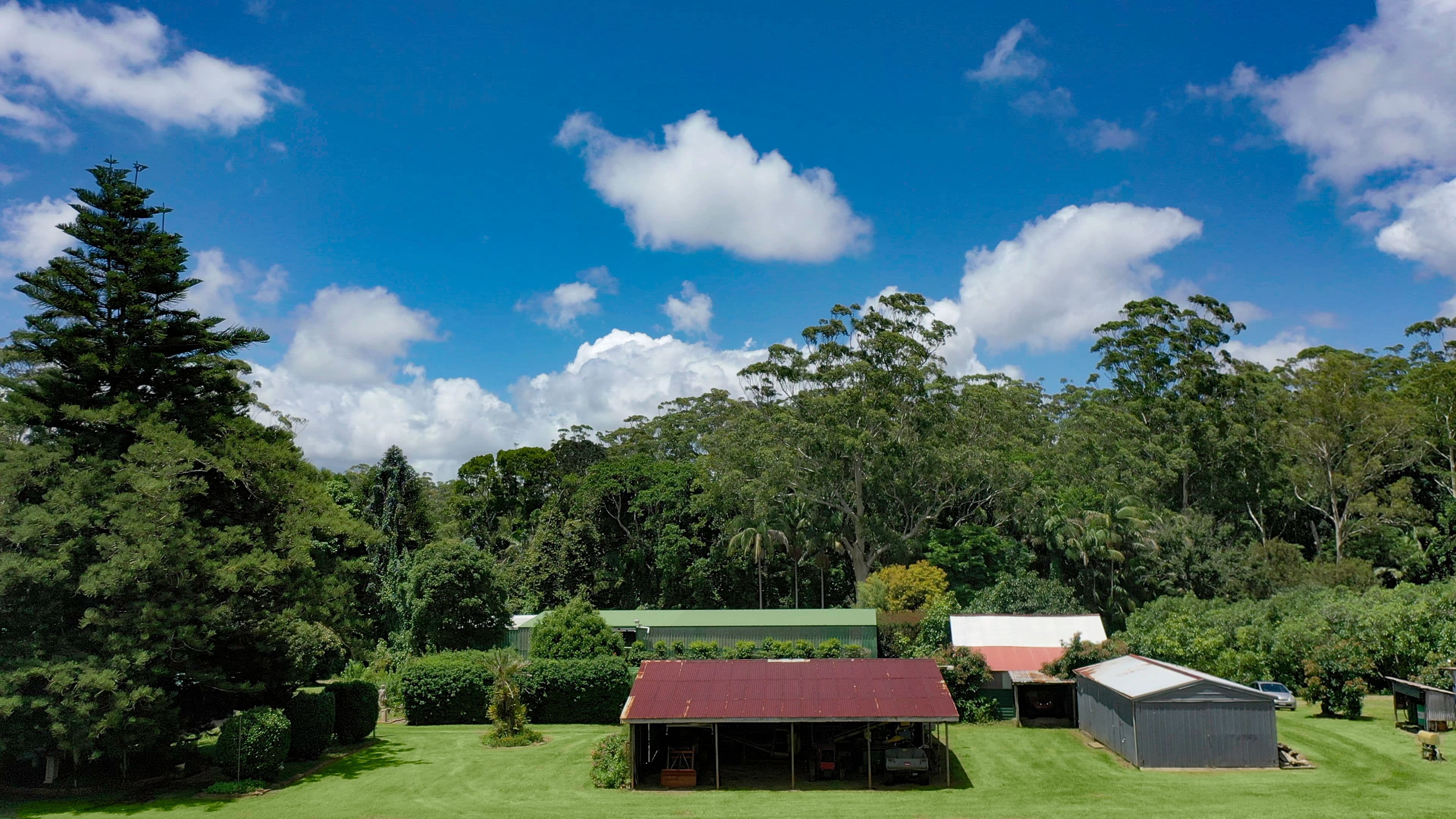 30 Kidd Street, Tamborine Mountain QLD 4272, Tamborine Mountain - Thumbnail 7