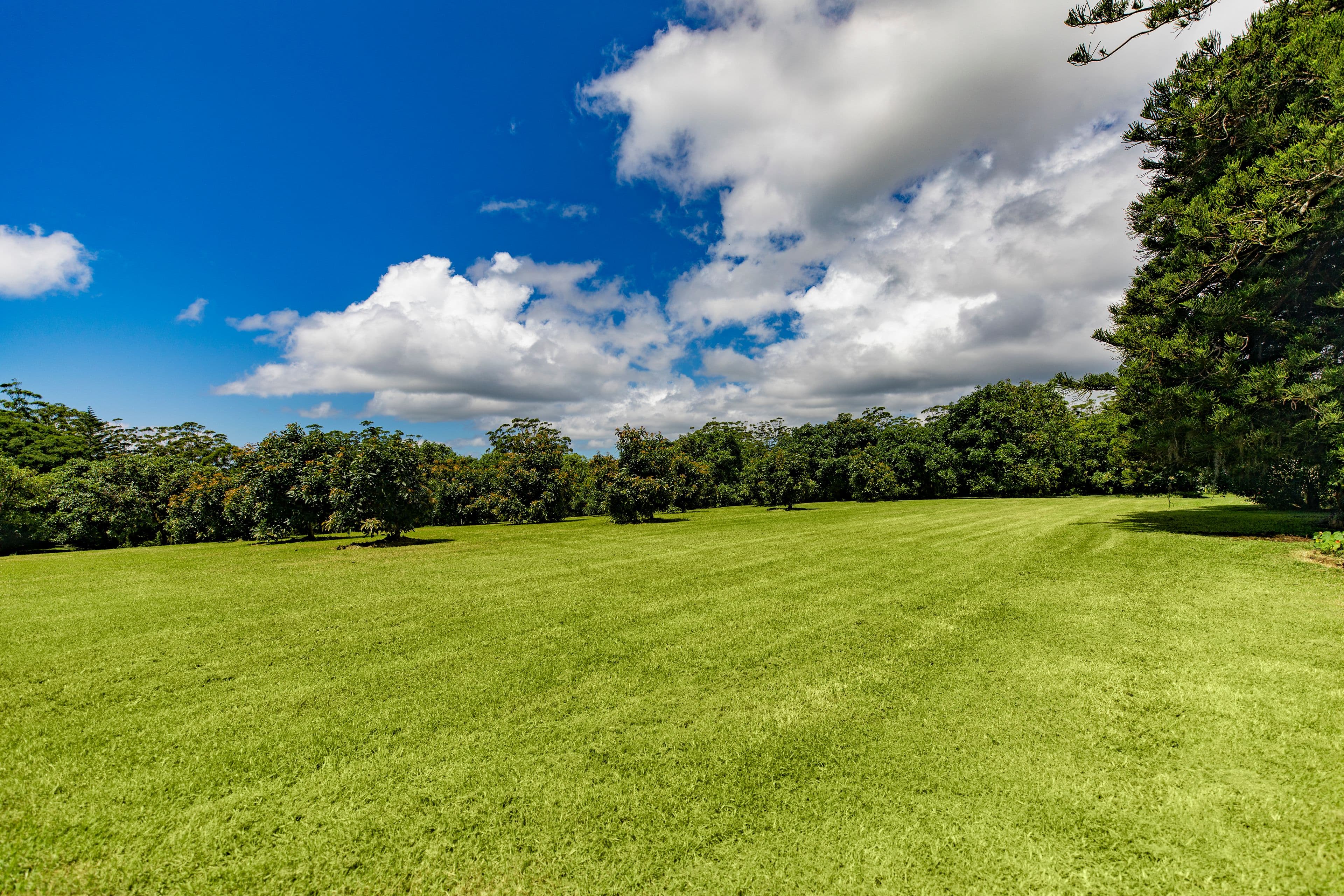 30 Kidd Street, Tamborine Mountain QLD 4272, Tamborine Mountain - Thumbnail 8