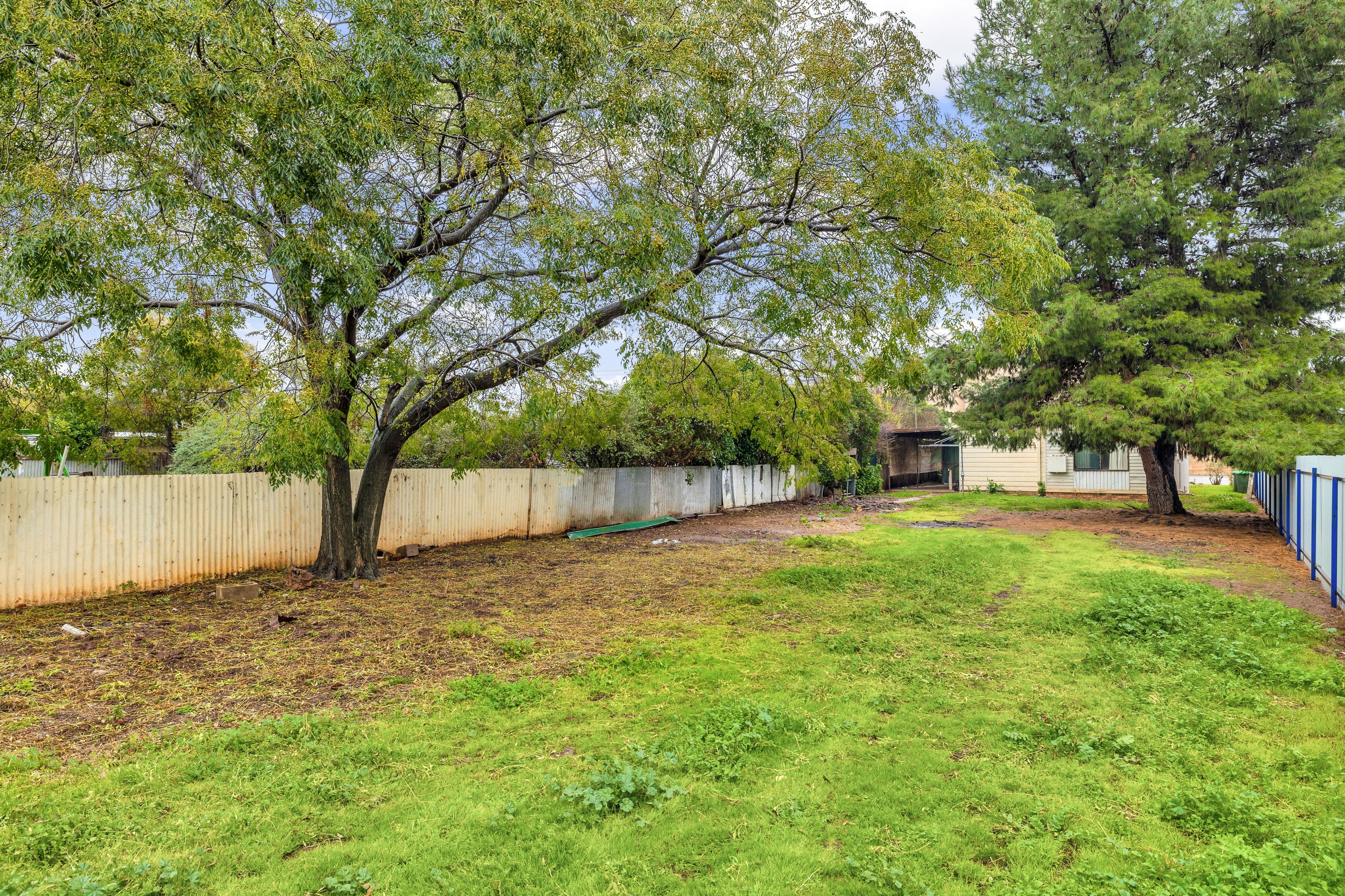 65 Wade Street, Coolamon NSW 2701, Coolamon - Thumbnail 5