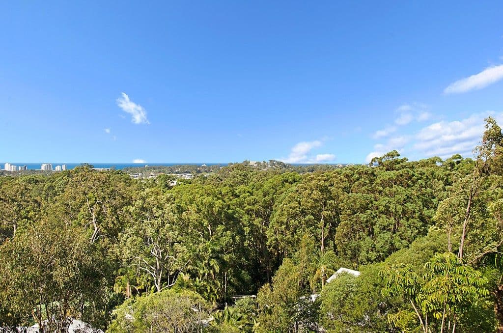16 Mayfair Lane, Buderim QLD 4556, Buderim - Thumbnail 2