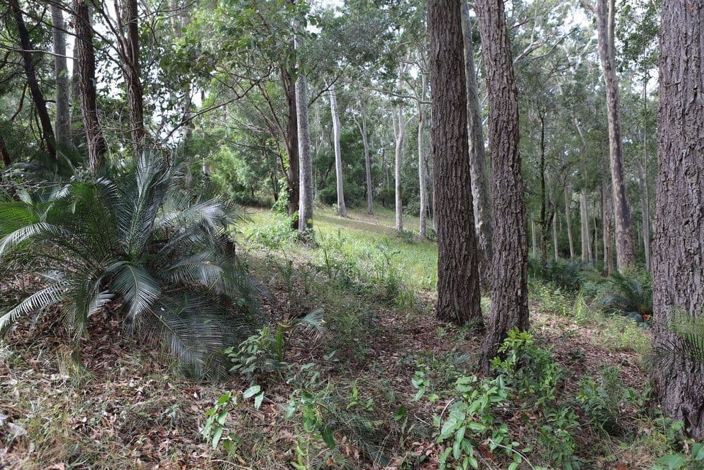 Lot 48 Woodlands Drive, Narooma NSW 2546, Narooma - Thumbnail 3