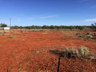 39 Leo Street, Eulo QLD 4491, Eulo - Thumbnail 3