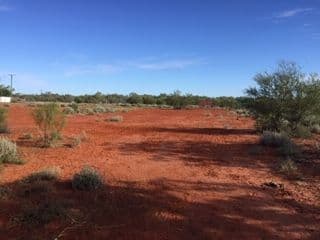 39 Leo Street, Eulo QLD 4491, Eulo - Thumbnail 5