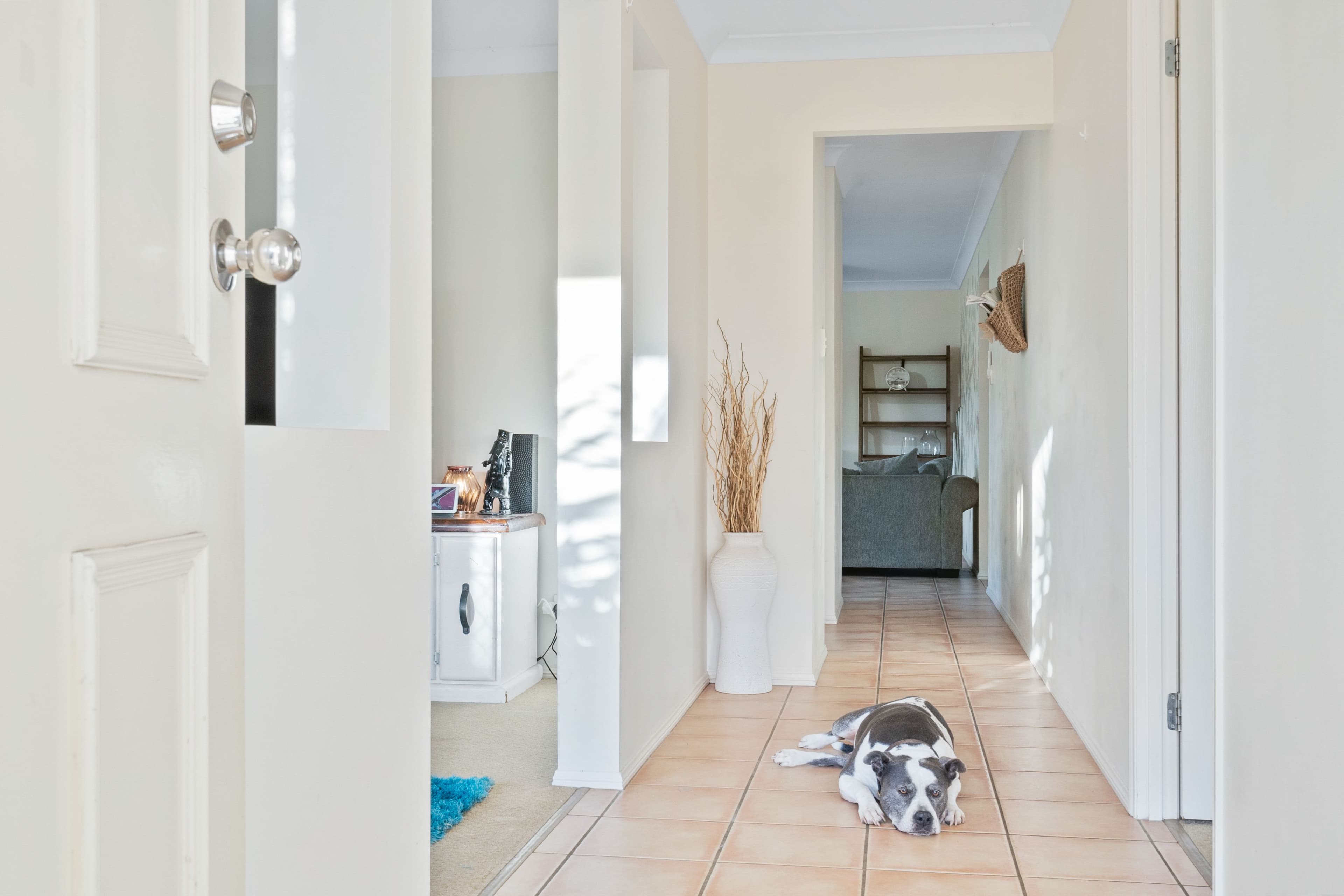 39 Tuckeroo Drive, FLAGSTONE QLD 4280, Flagstone - Thumbnail 5