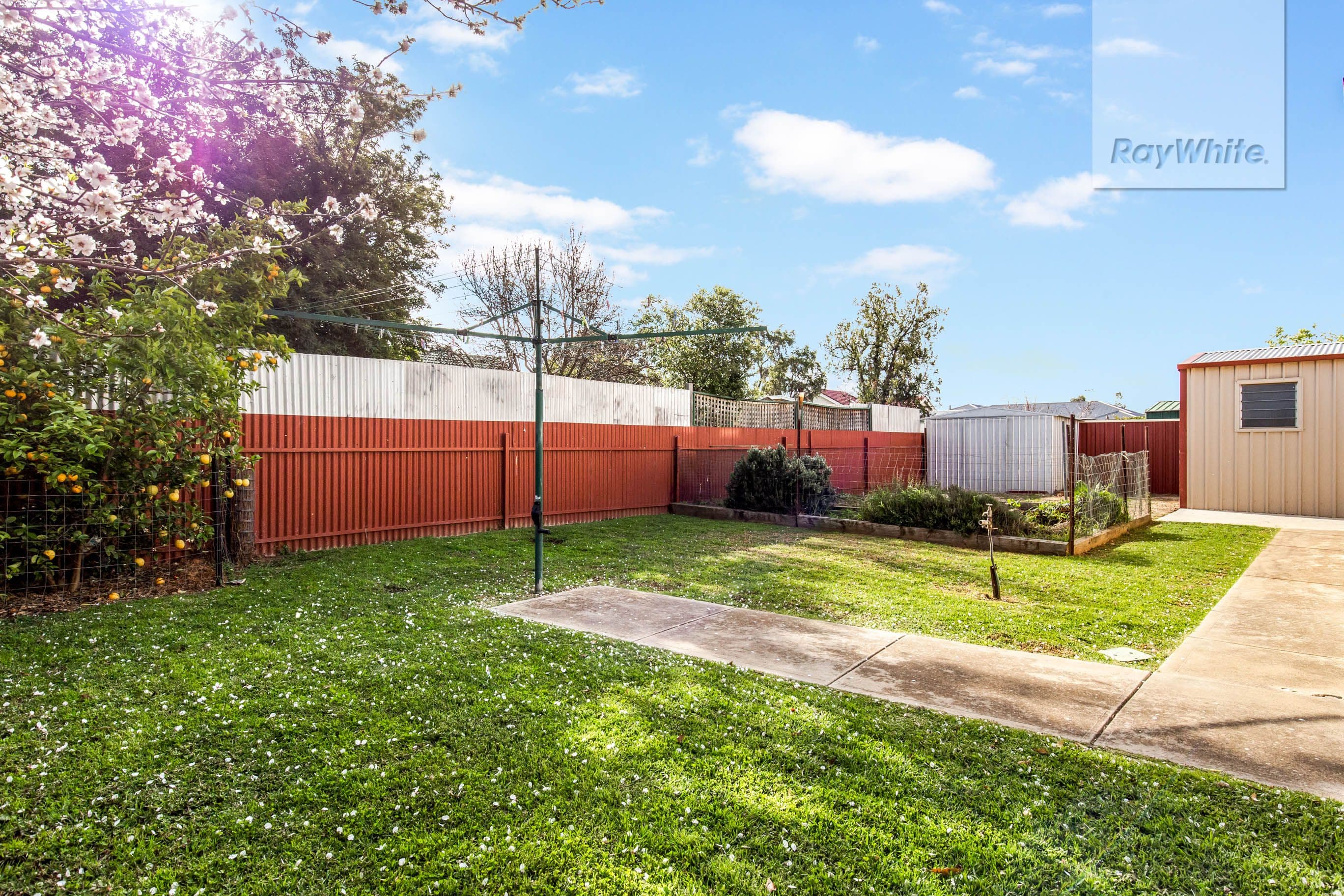 19 Trumper Avenue, Parafield Gardens SA 5107, Parafield Gardens - Thumbnail 8