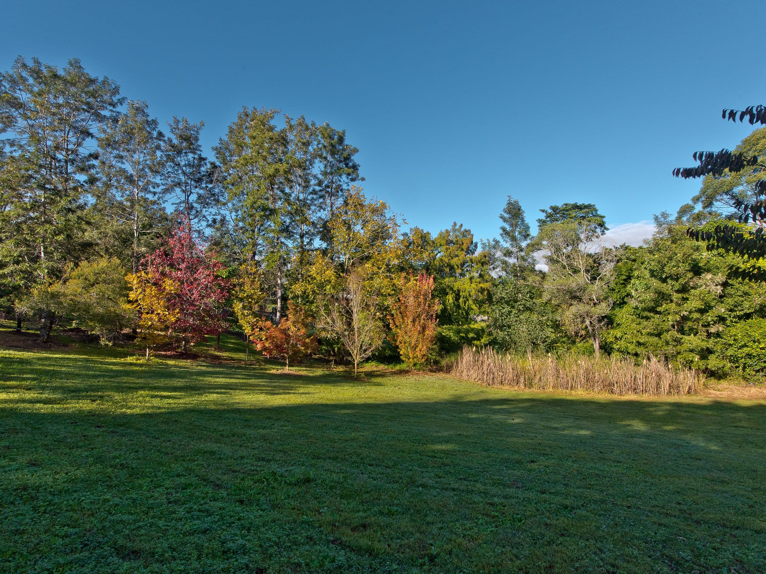 27 Honeywood Court, Samford Valley QLD 4520, Samford Valley - Thumbnail 3