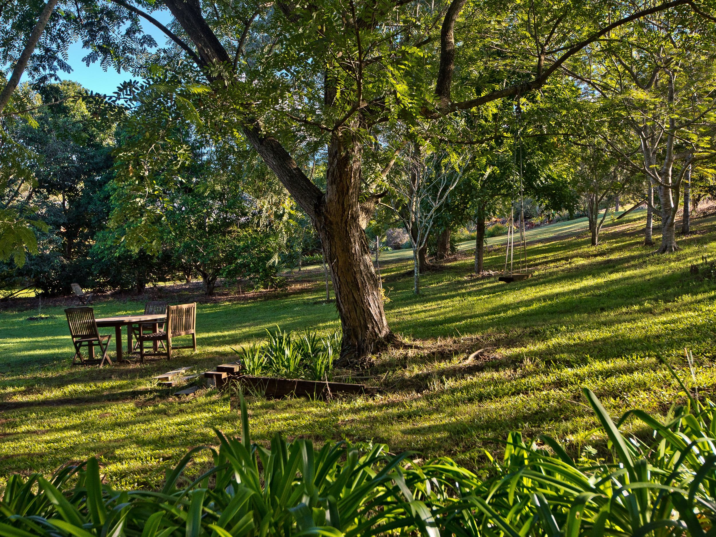 27 Honeywood Court, Samford Valley QLD 4520, Samford Valley - Thumbnail 7