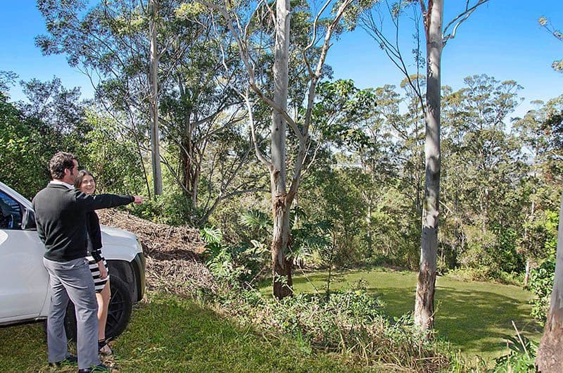 73 William Street, BUDERIM QLD 4556, Buderim - Thumbnail 2