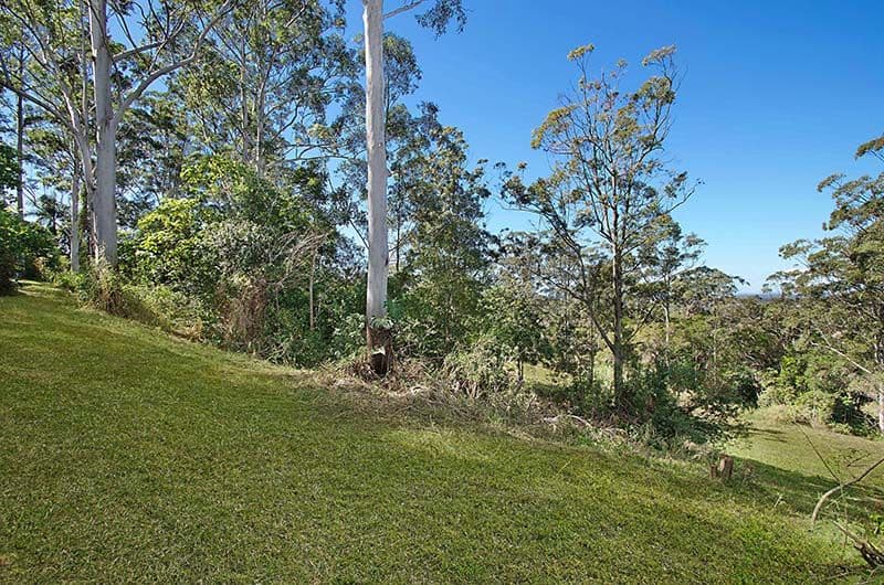 73 William Street, BUDERIM QLD 4556, Buderim - Thumbnail 6