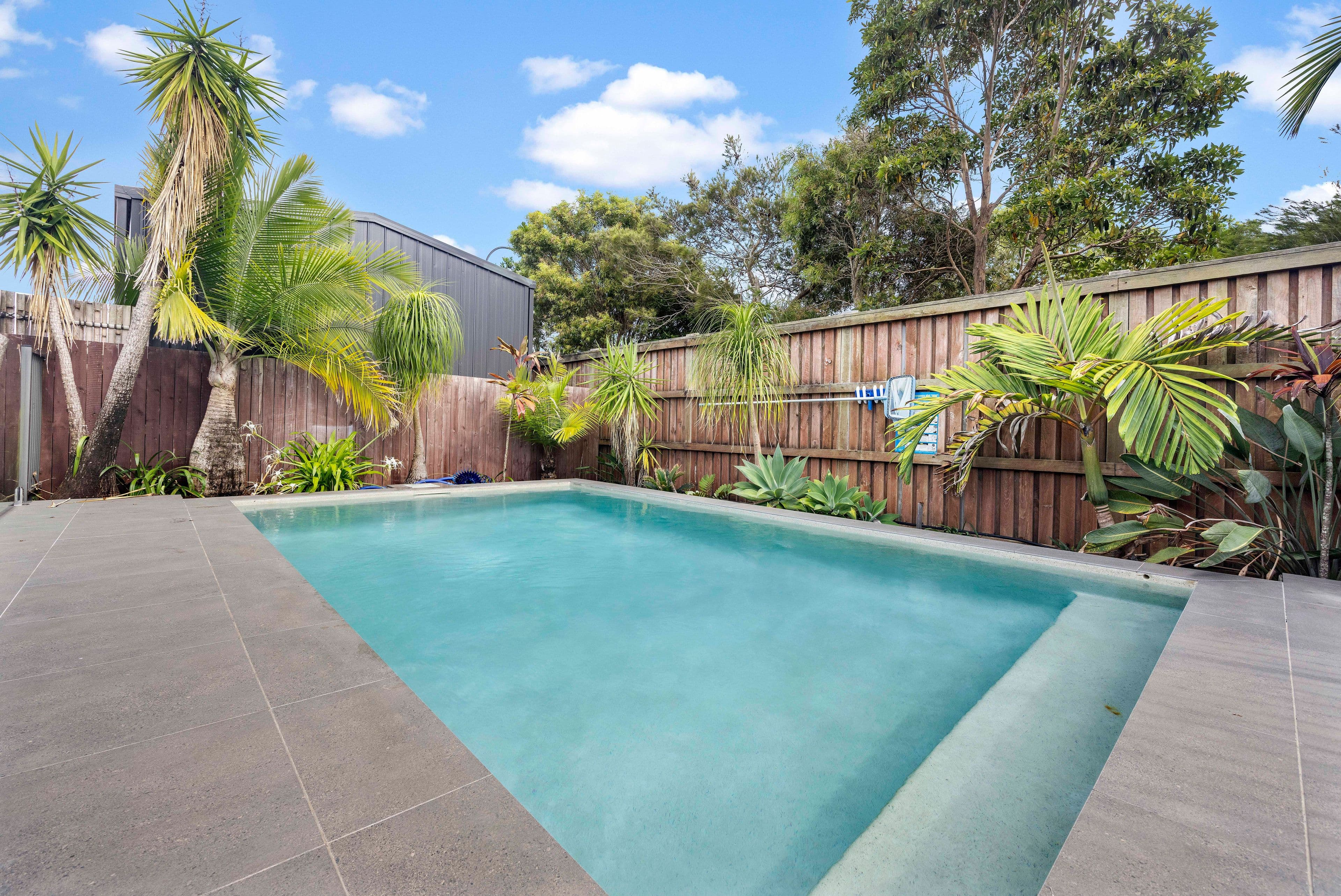 9 Frangipani Place, Mountain Creek QLD 4557, Mountain Creek - Thumbnail 3