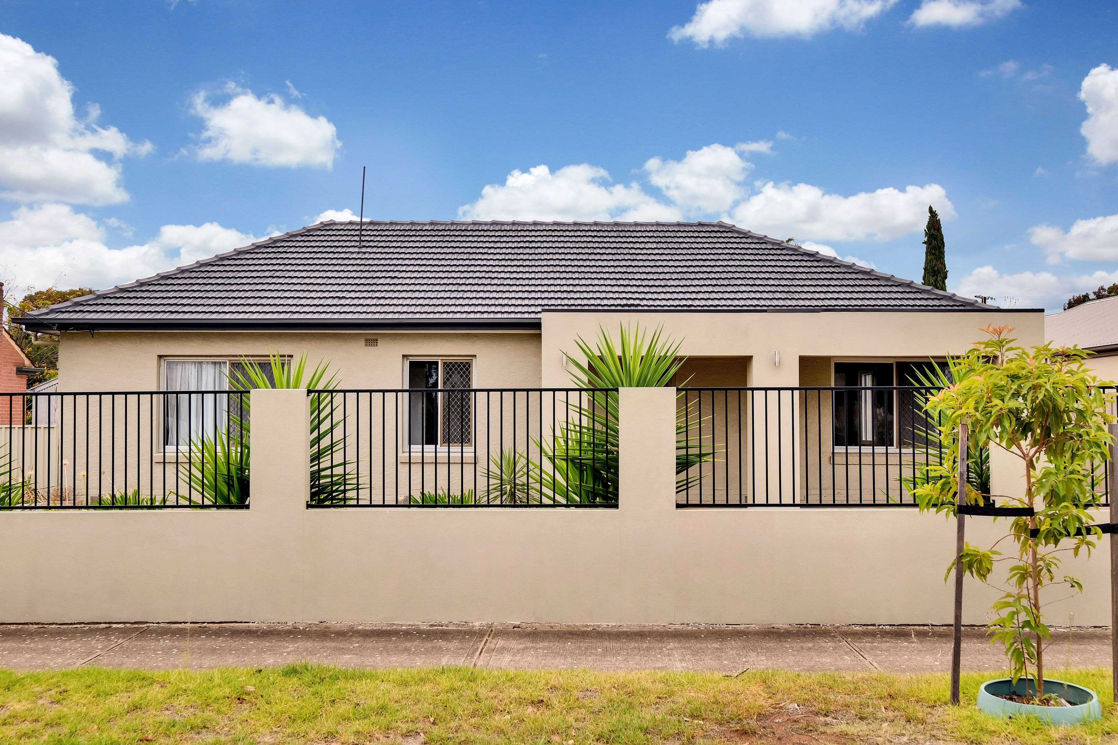 12 Carlton Street, Oaklands Park SA 5046, Oaklands Park - Thumbnail 3