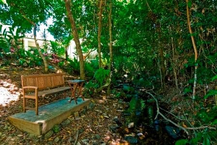 7 Pavetta Close, Bentley Park QLD 4869, Bentley Park - Thumbnail 6