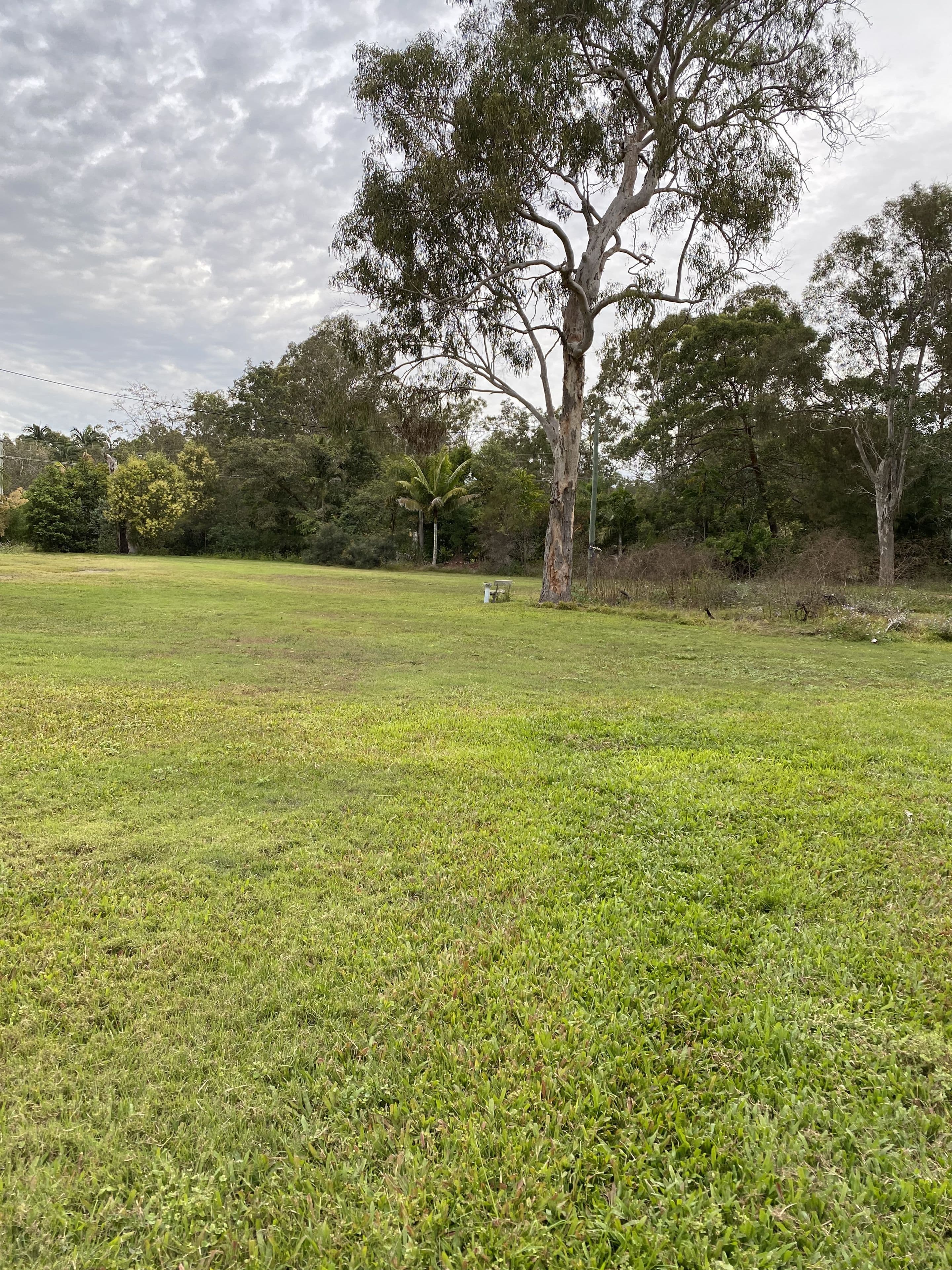 304 Petersen Road, Morayfield QLD 4506, Morayfield - Thumbnail 2
