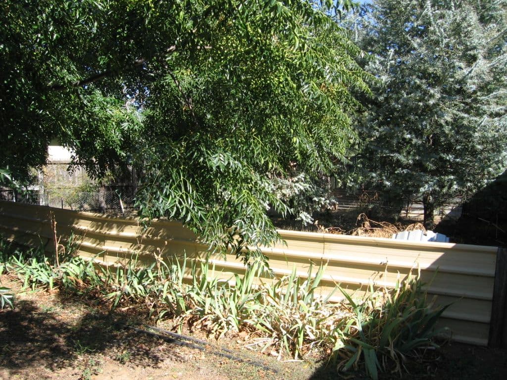 116 Mackay Street, ROCHESTER VIC 3561, Rochester - Thumbnail 4