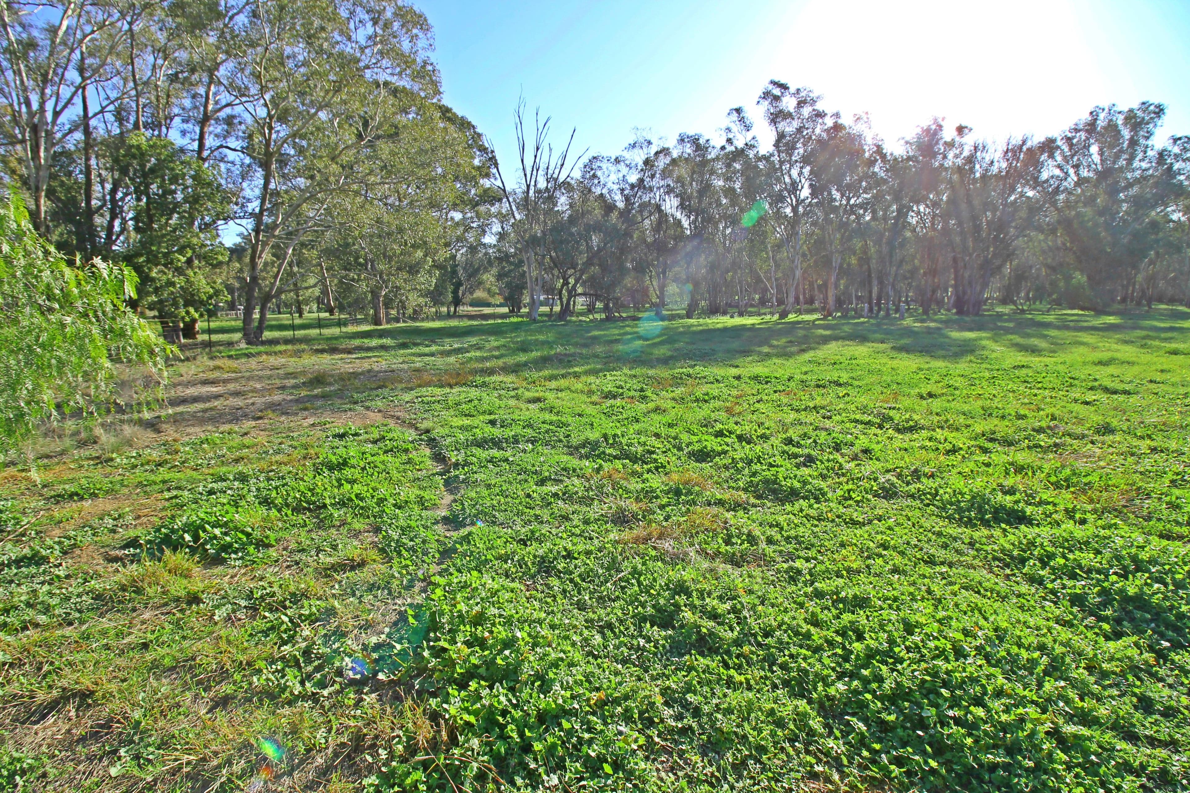 4&5, 1327 Scenic Road, Monteagle, Young NSW 2594, Young - Thumbnail 3