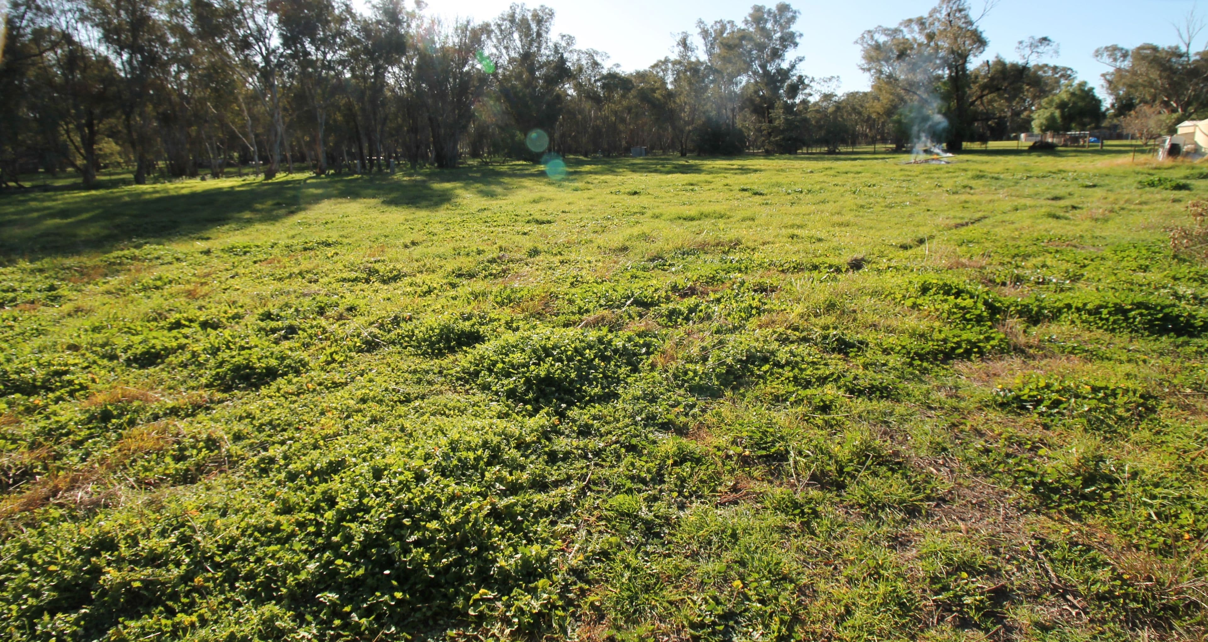 4&5, 1327 Scenic Road, Monteagle, Young NSW 2594, Young - Thumbnail 4