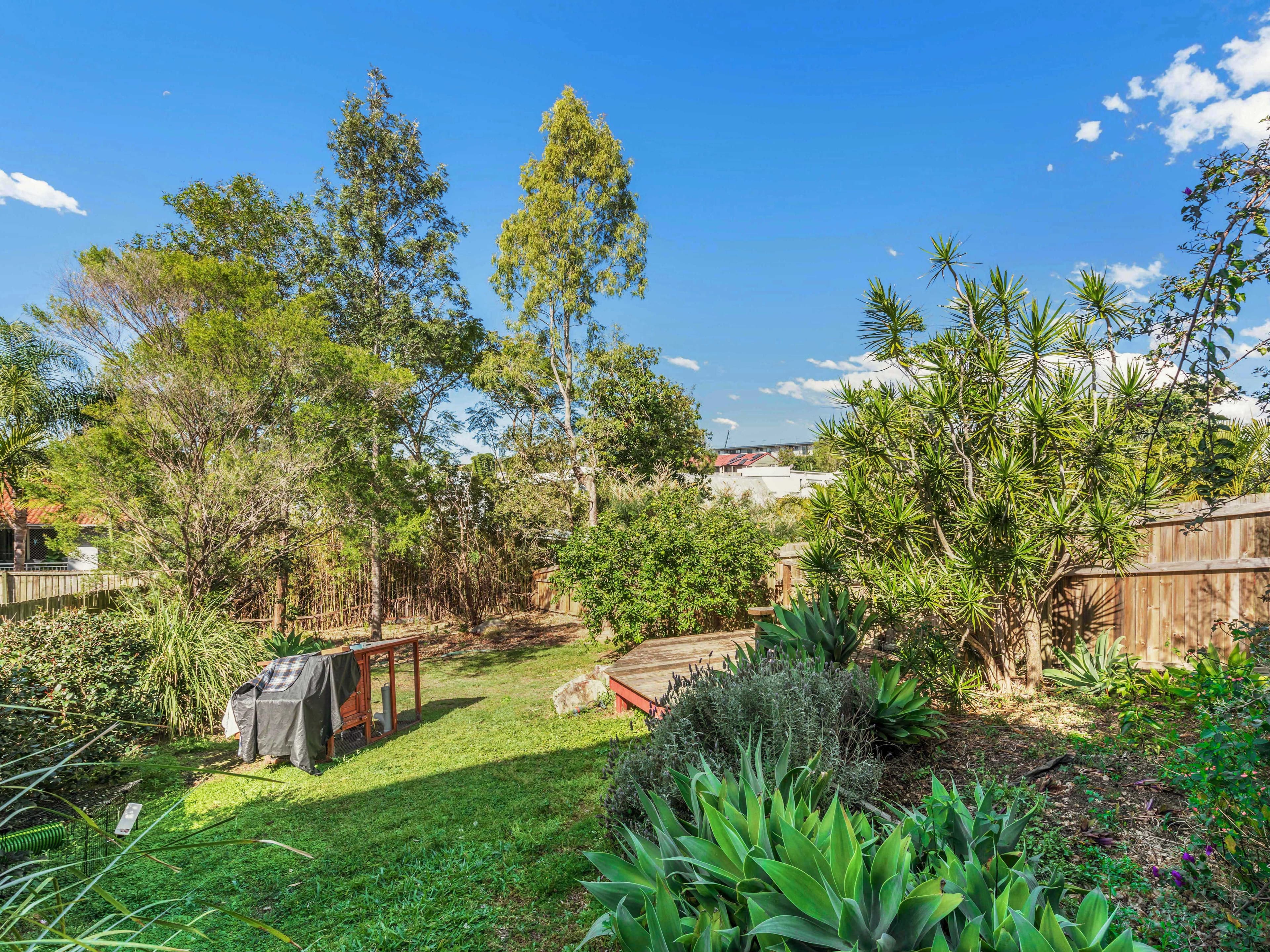 45 Pine Street, Bulimba QLD 4171, Bulimba - Thumbnail 2