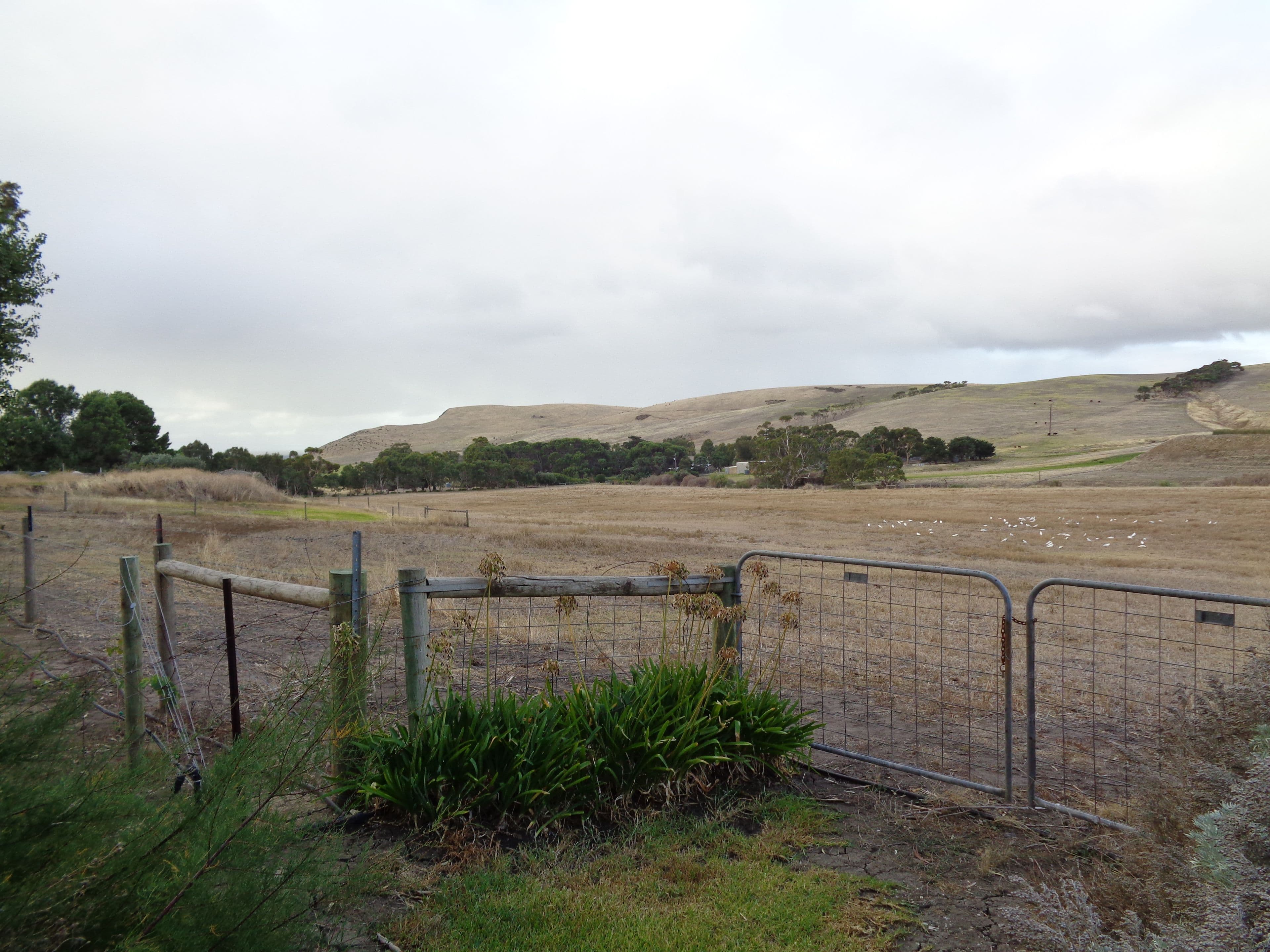 133-135 Finniss Vale Drive, Second Valley SA 5204, Second Valley - Thumbnail 3