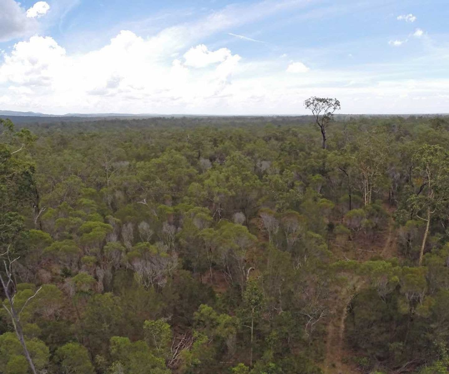 1729 Old Tenterfield Rd, Kippenduff, NSW 2469, Kippenduff - Thumbnail 4