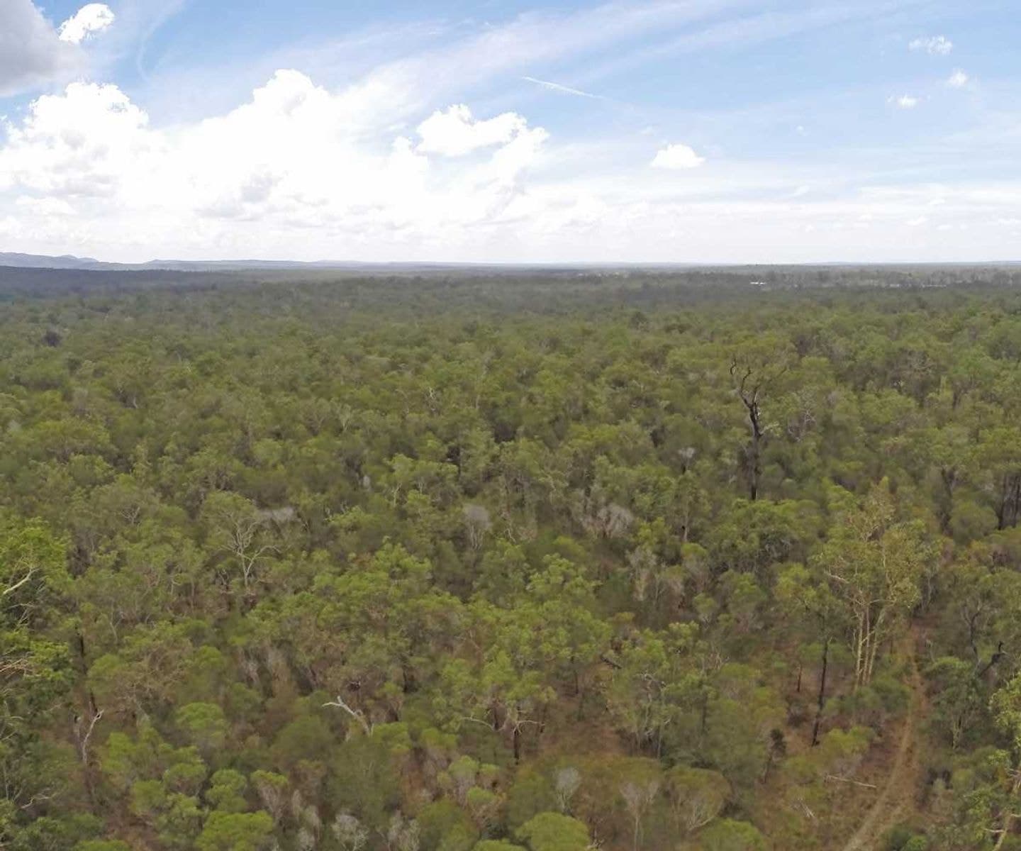 1729 Old Tenterfield Rd, Kippenduff, NSW 2469, Kippenduff - Thumbnail 6