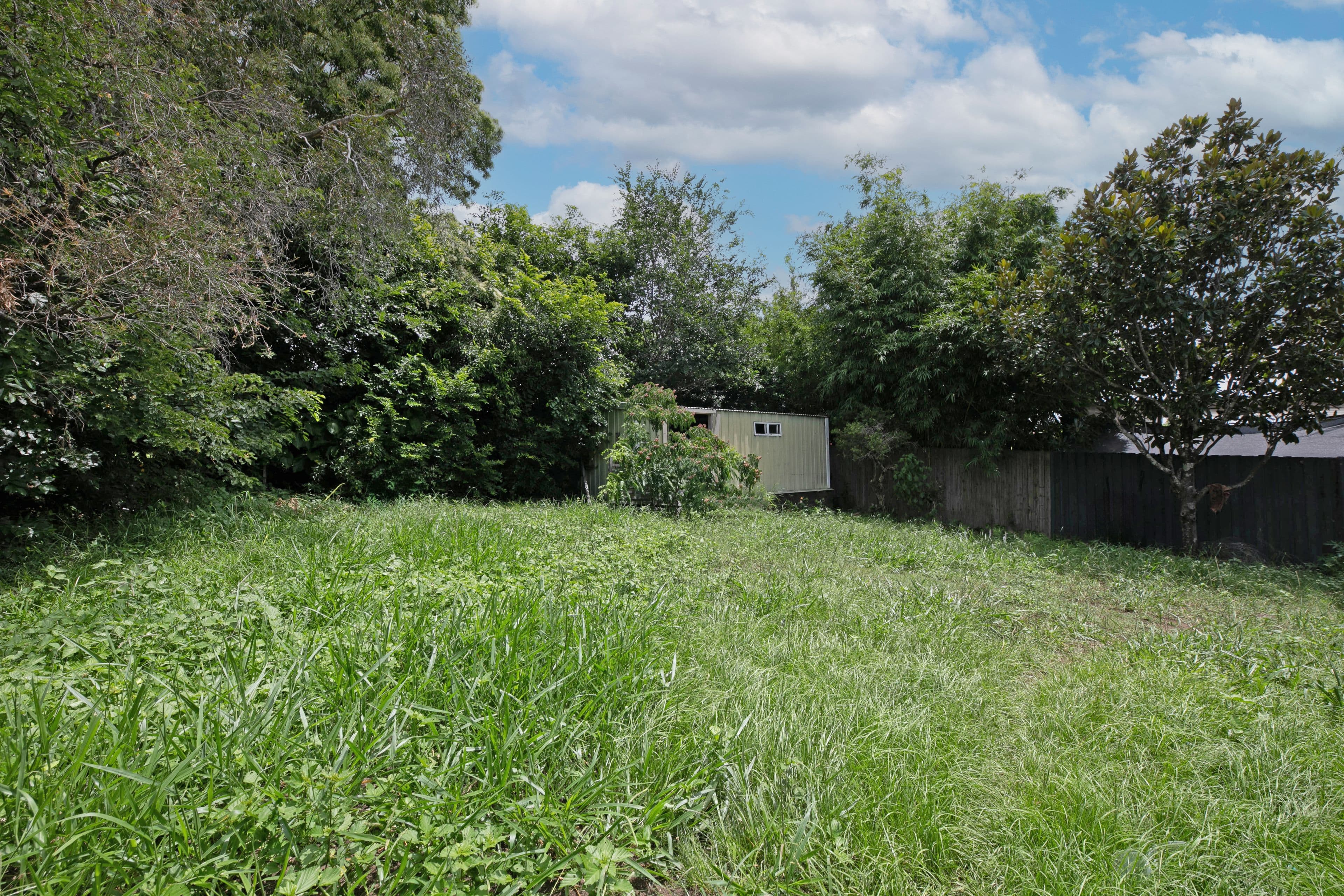 125 Andrew Avenue, Tarragindi QLD 4121, Tarragindi - Thumbnail 5