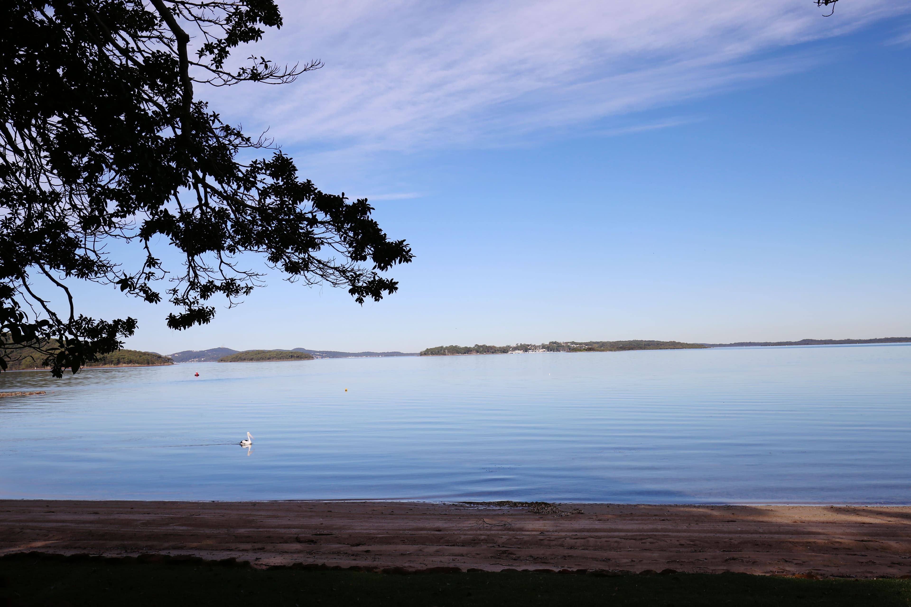 184 Cove Boulevard, North Arm Cove - Thumbnail 2