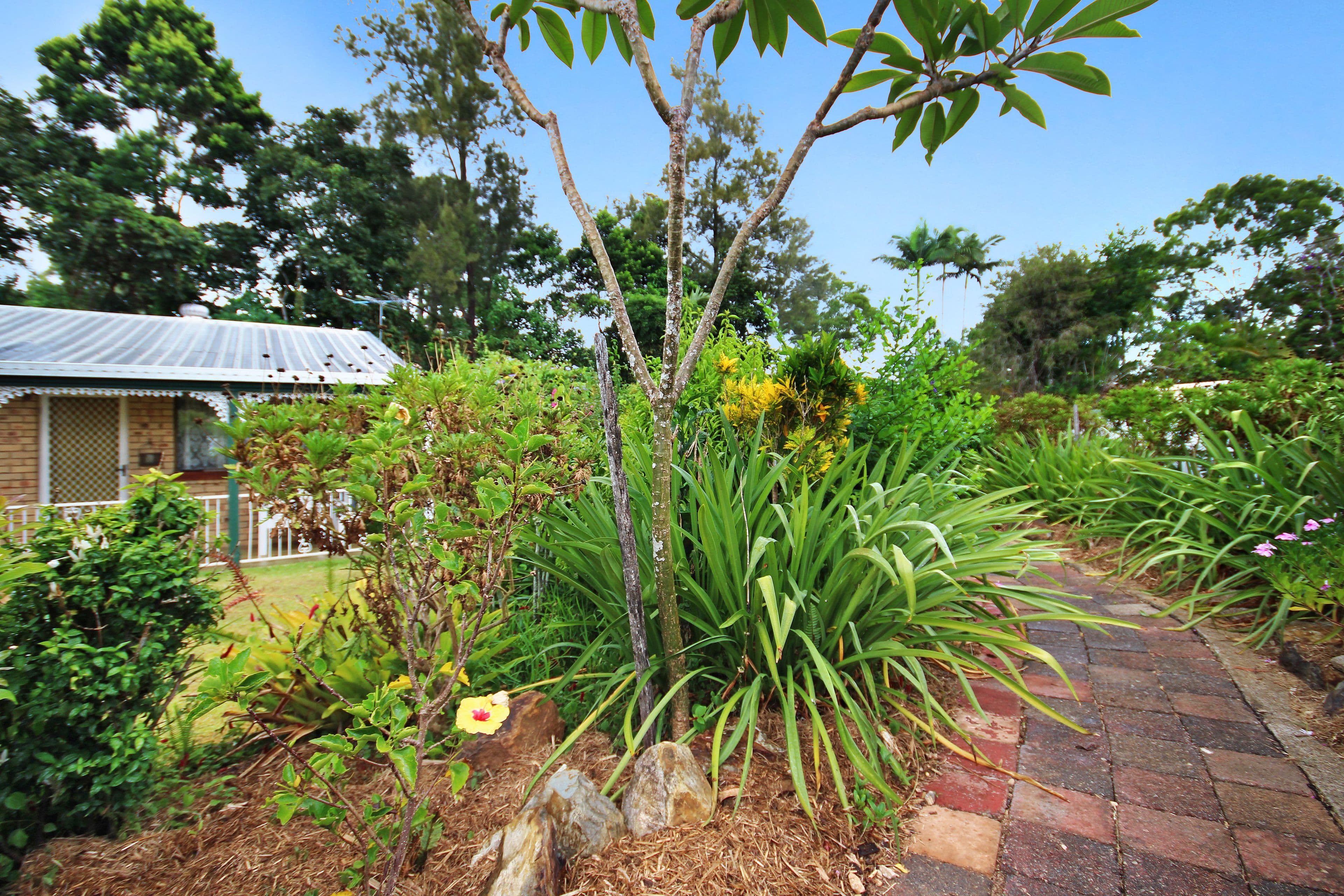 33 Pine Camp Road, Beerwah QLD 4519, Beerwah - Thumbnail 8