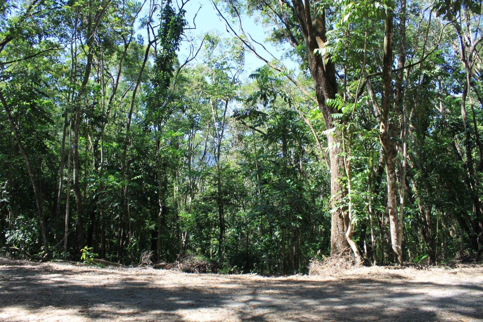 Lot 37 Ronald Road, Forest Creek, Daintree QLD 4873, Daintree - Thumbnail 2