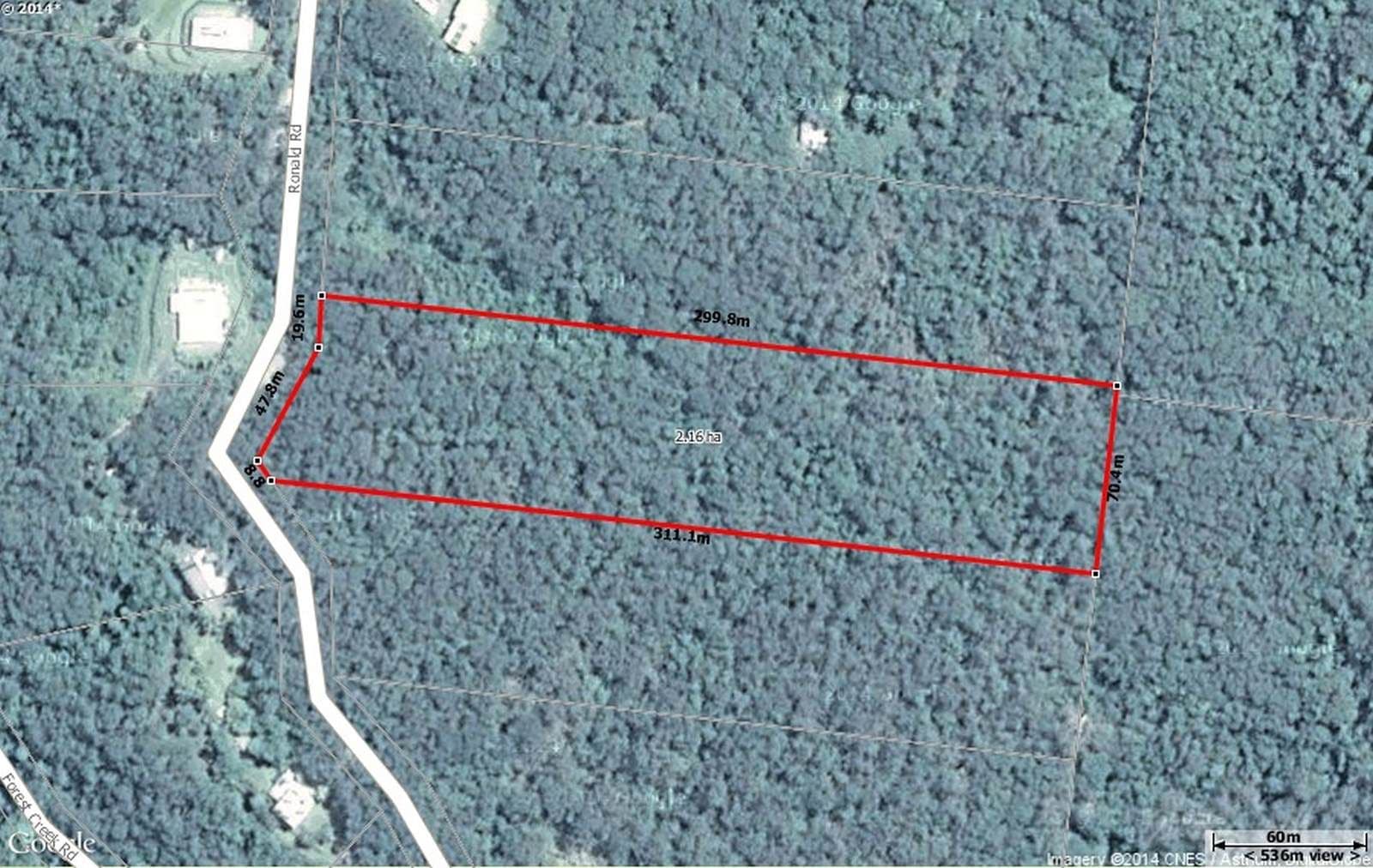 Lot 37 Ronald Road, Forest Creek, Daintree QLD 4873, Daintree - Thumbnail 4