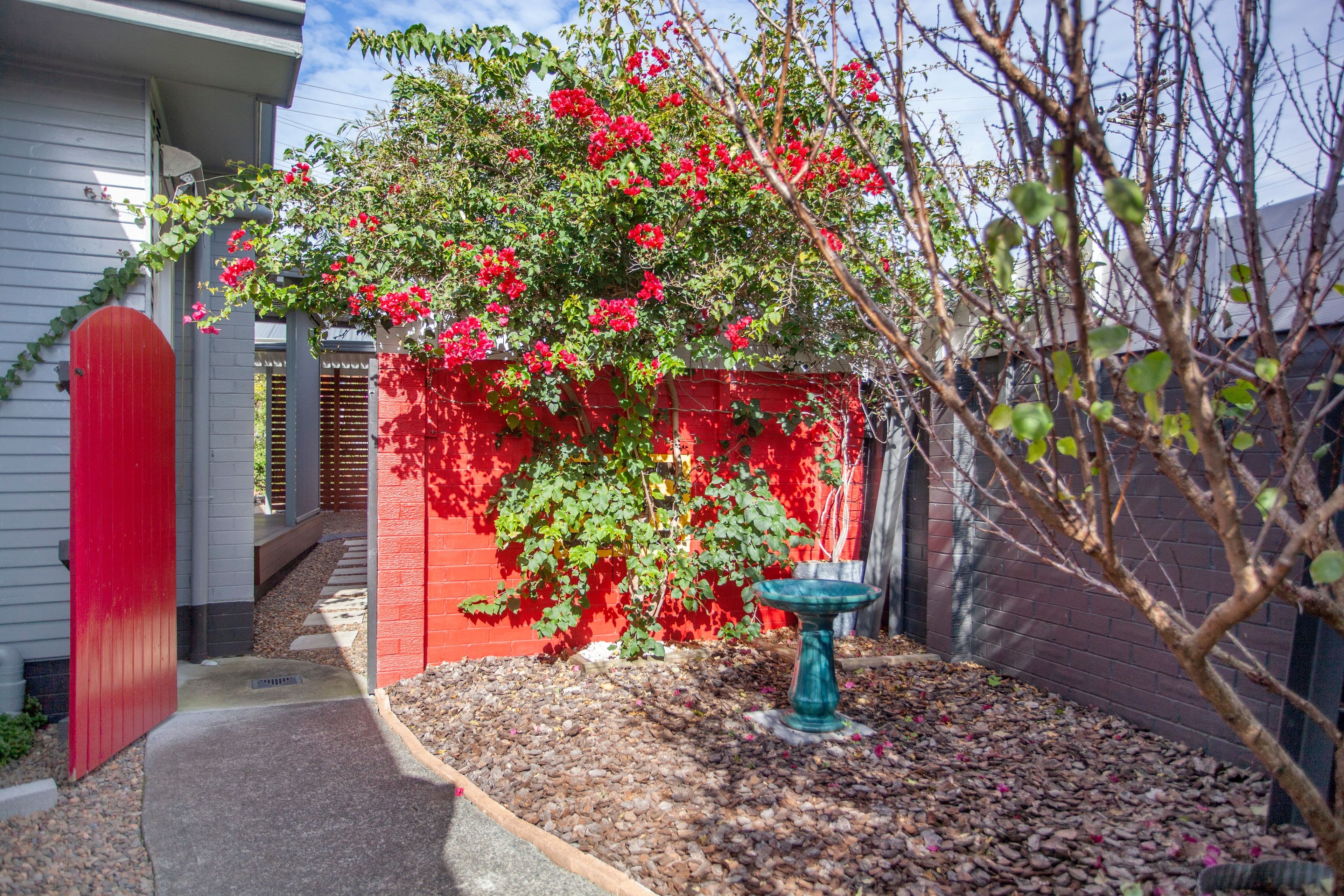 43 Spence Street, Taree NSW 2430, Taree - Thumbnail 5