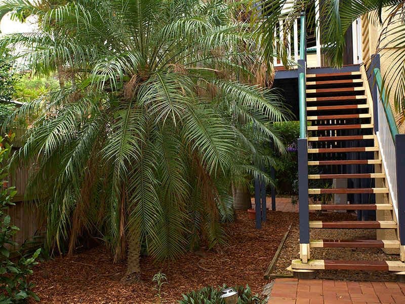 313 Riding Road, BALMORAL QLD 4171, Balmoral - Thumbnail 8