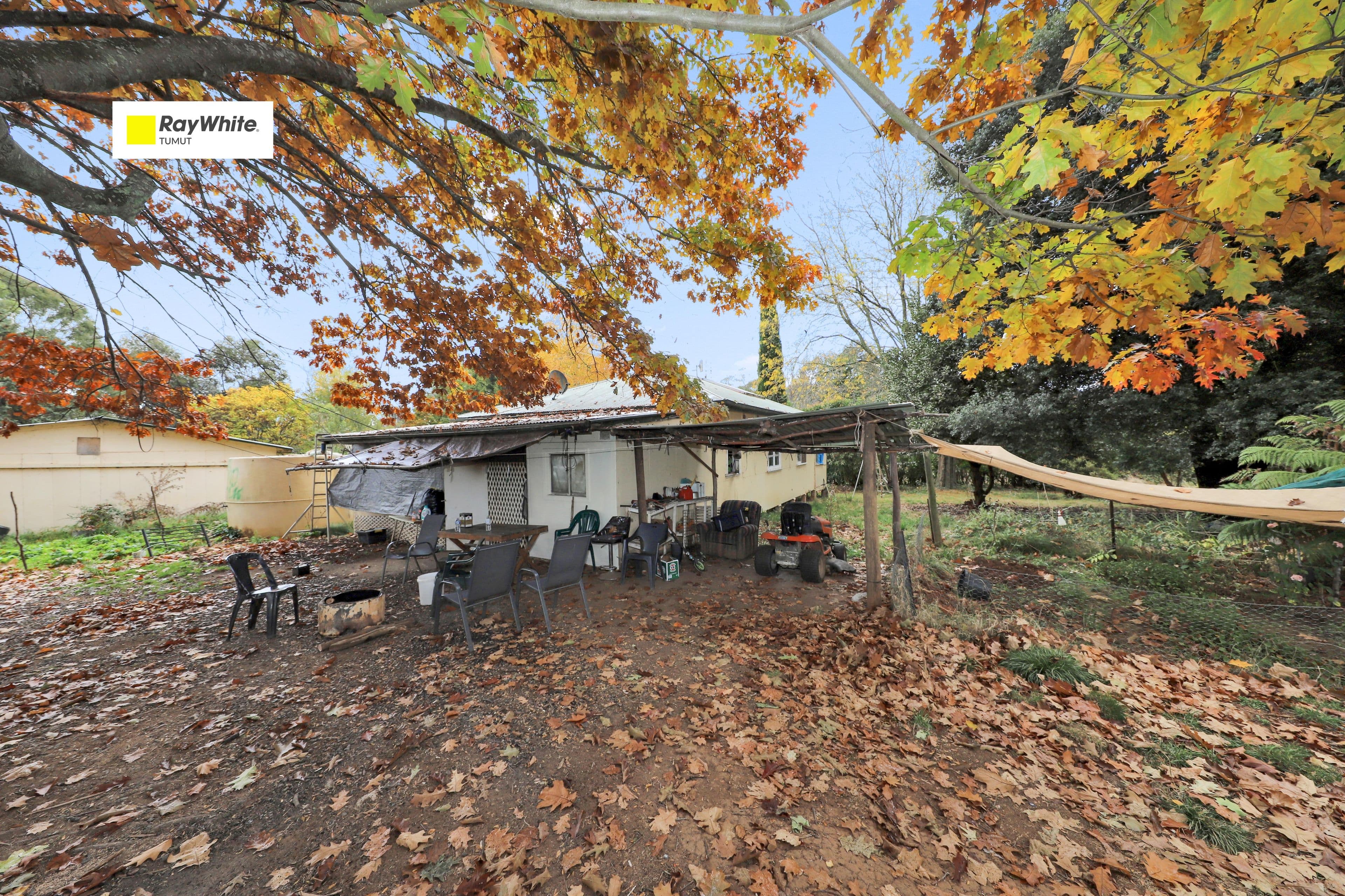 64 Boggamilla Road, Batlow NSW 2730, Batlow - Image 1