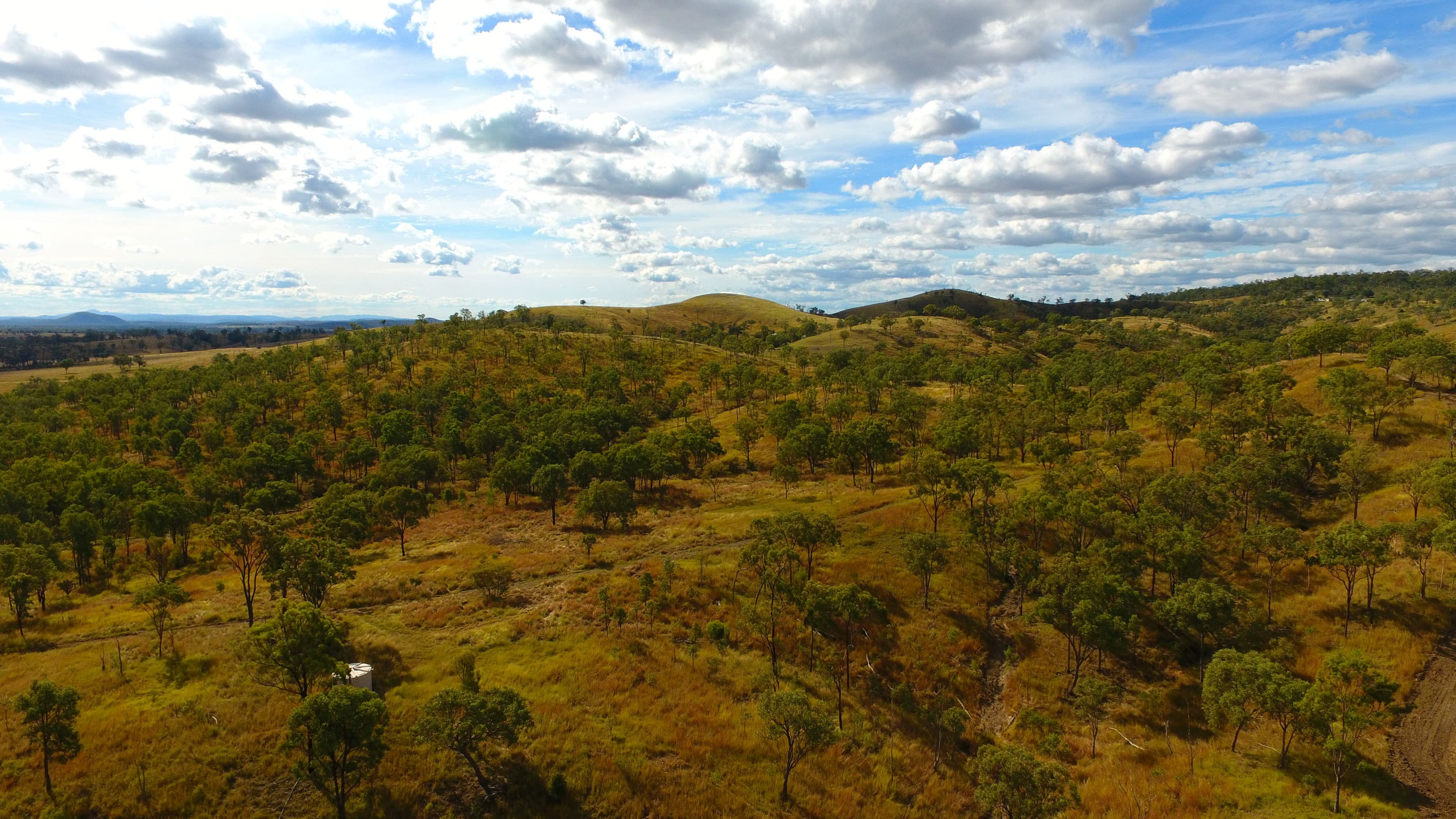 209 Barlyne Road, Gayndah QLD 4625, Gayndah - Thumbnail 6