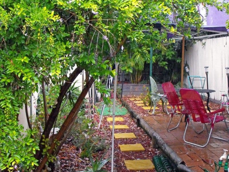 53 Edith Street, LEICHHARDT NSW 2040, Leichhardt - Thumbnail 7