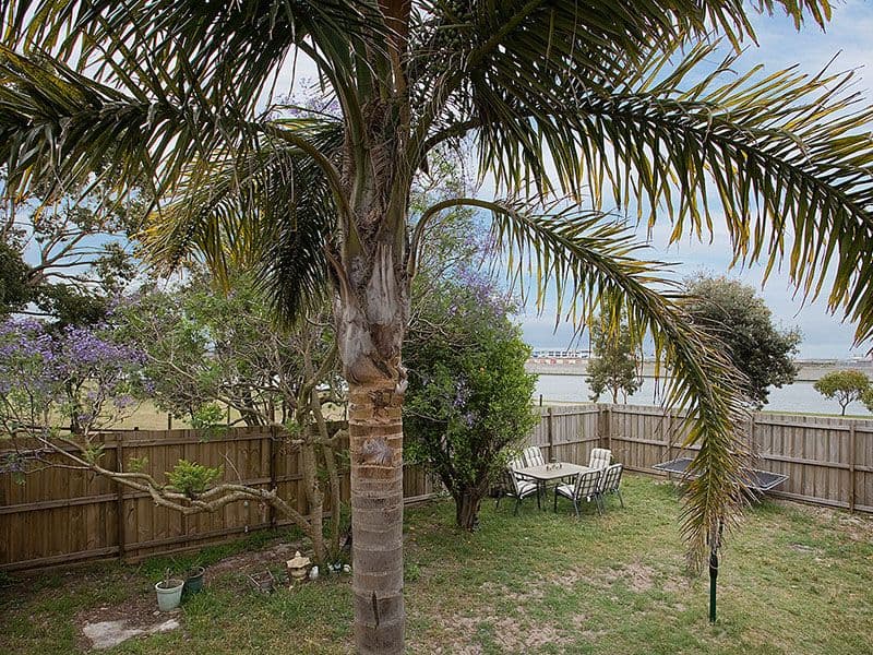20  Owen Avenue, KYEEMAGH NSW 2216, Kyeemagh - Thumbnail 6