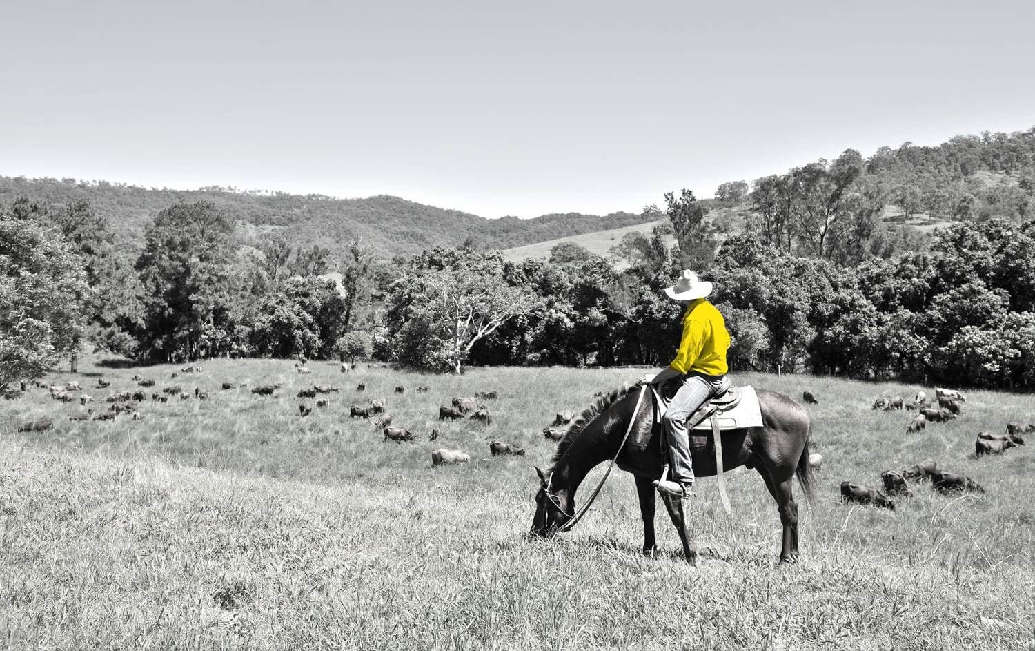 Lot 32 Jeffery Circuit, Tumut NSW 2720, Tumut - Image 1