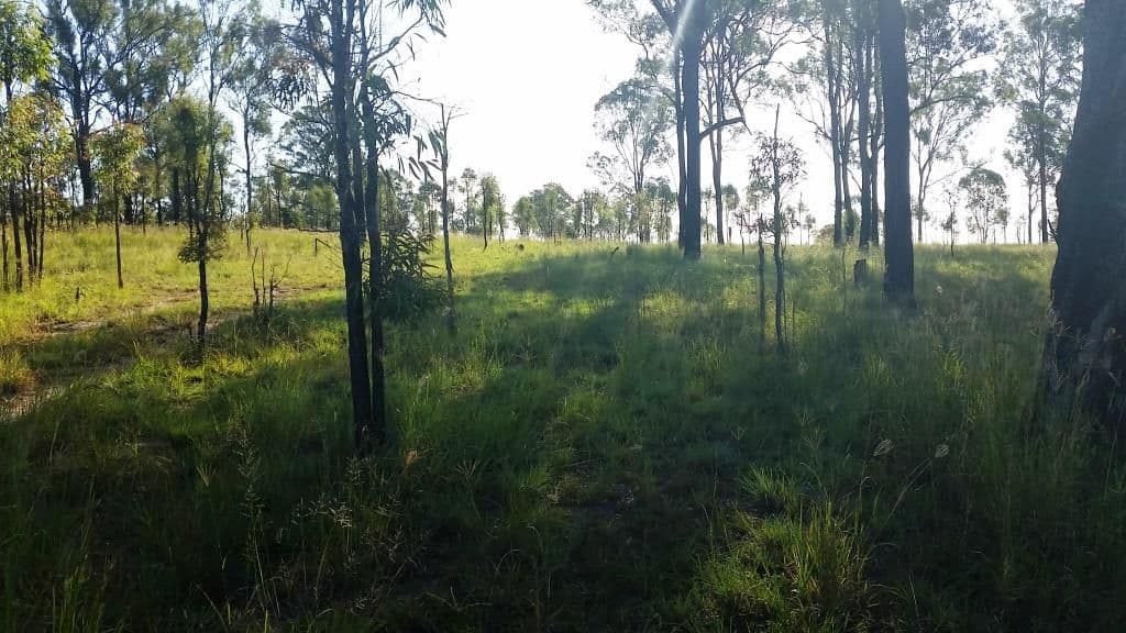 Lot 8 Braziers Road, NANANGO QLD 4615, Nanango - Image 1