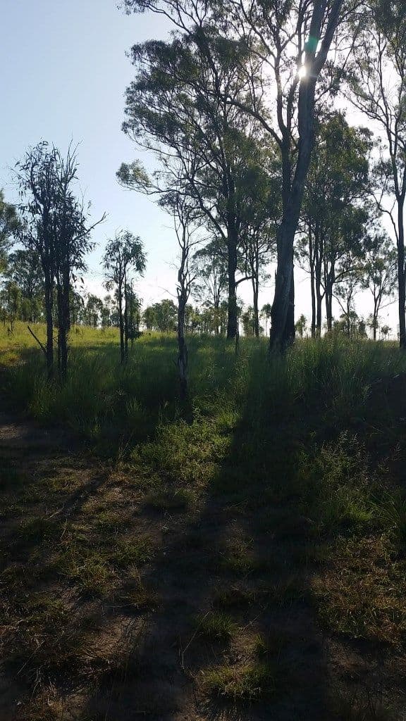 Lot 8 Braziers Road, NANANGO QLD 4615, Nanango - Thumbnail 2