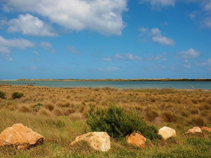 Lot 1 Mills Road, HINDMARSH ISLAND SA 5214, Hindmarsh Island - Image 1