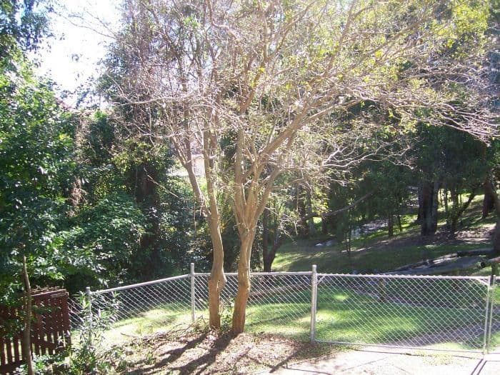 28 ROTHESAY, ACACIA RIDGE QLD 4110, Acacia Ridge - Thumbnail 3