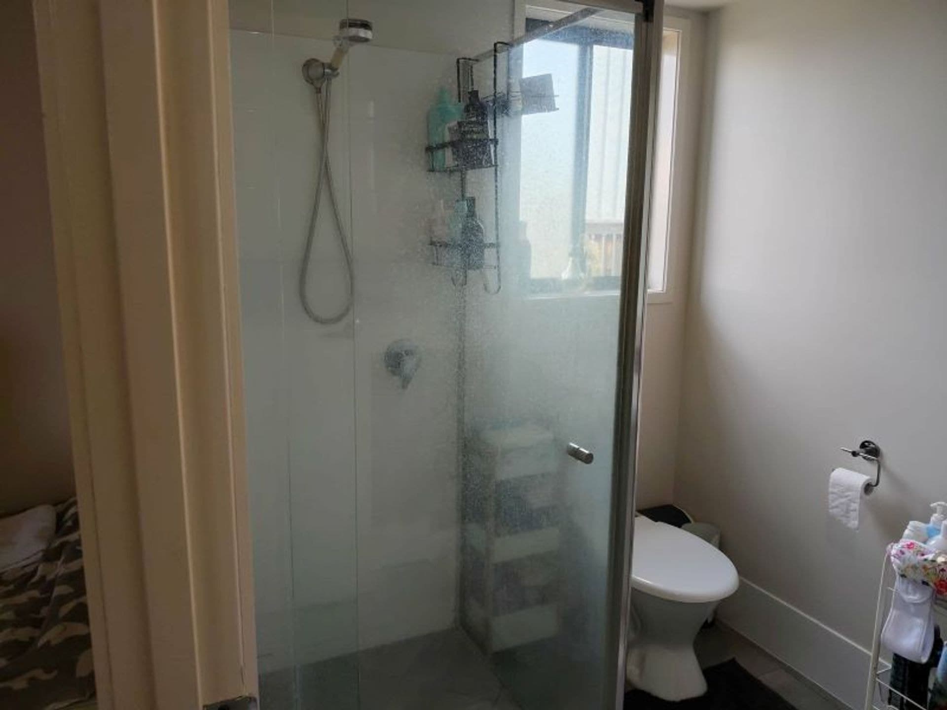 38 Wilkin Street, Nebo, QLD, 4742, Nebo - Thumbnail 4