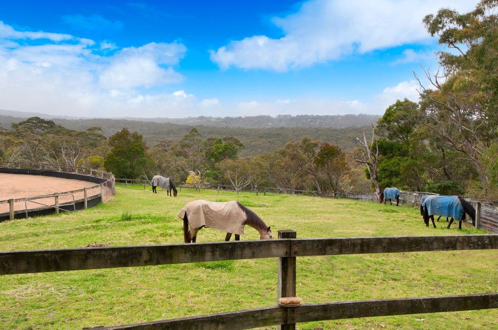 305 McCarrs Creek Road, TERREY HILLS NSW 2084, Terrey Hills - Image 1