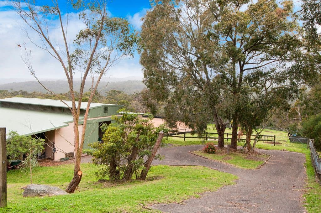 305 McCarrs Creek Road, TERREY HILLS NSW 2084, Terrey Hills - Thumbnail 2