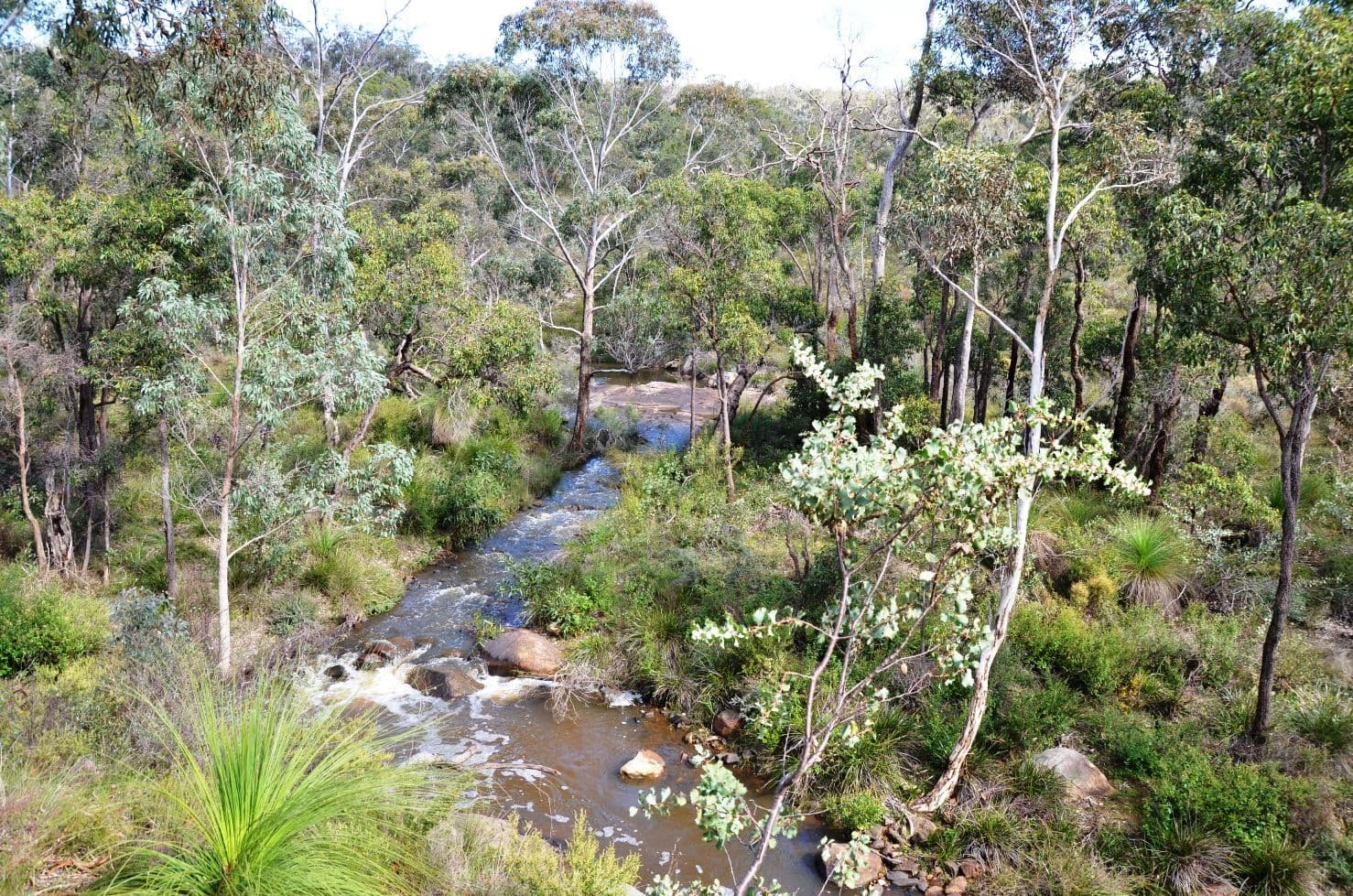 315 Reen Road, Gidgegannup WA 6083, Gidgegannup - Image 1