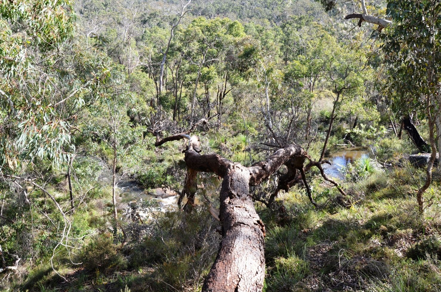 315 Reen Road, Gidgegannup WA 6083, Gidgegannup - Thumbnail 2