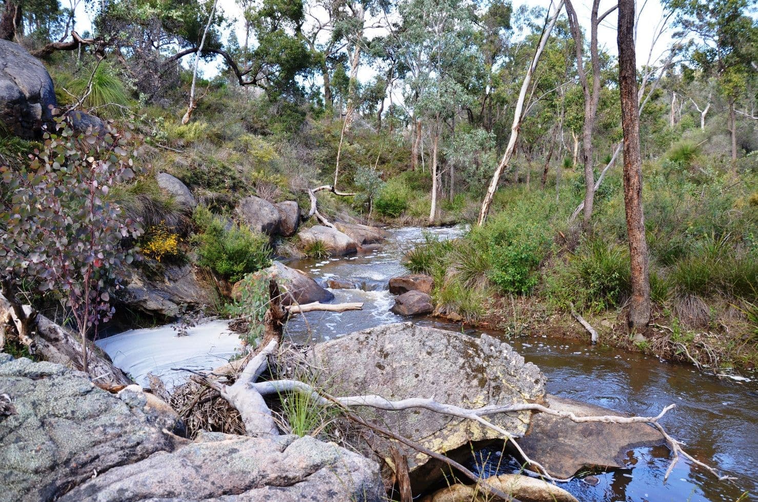 315 Reen Road, Gidgegannup WA 6083, Gidgegannup - Thumbnail 3