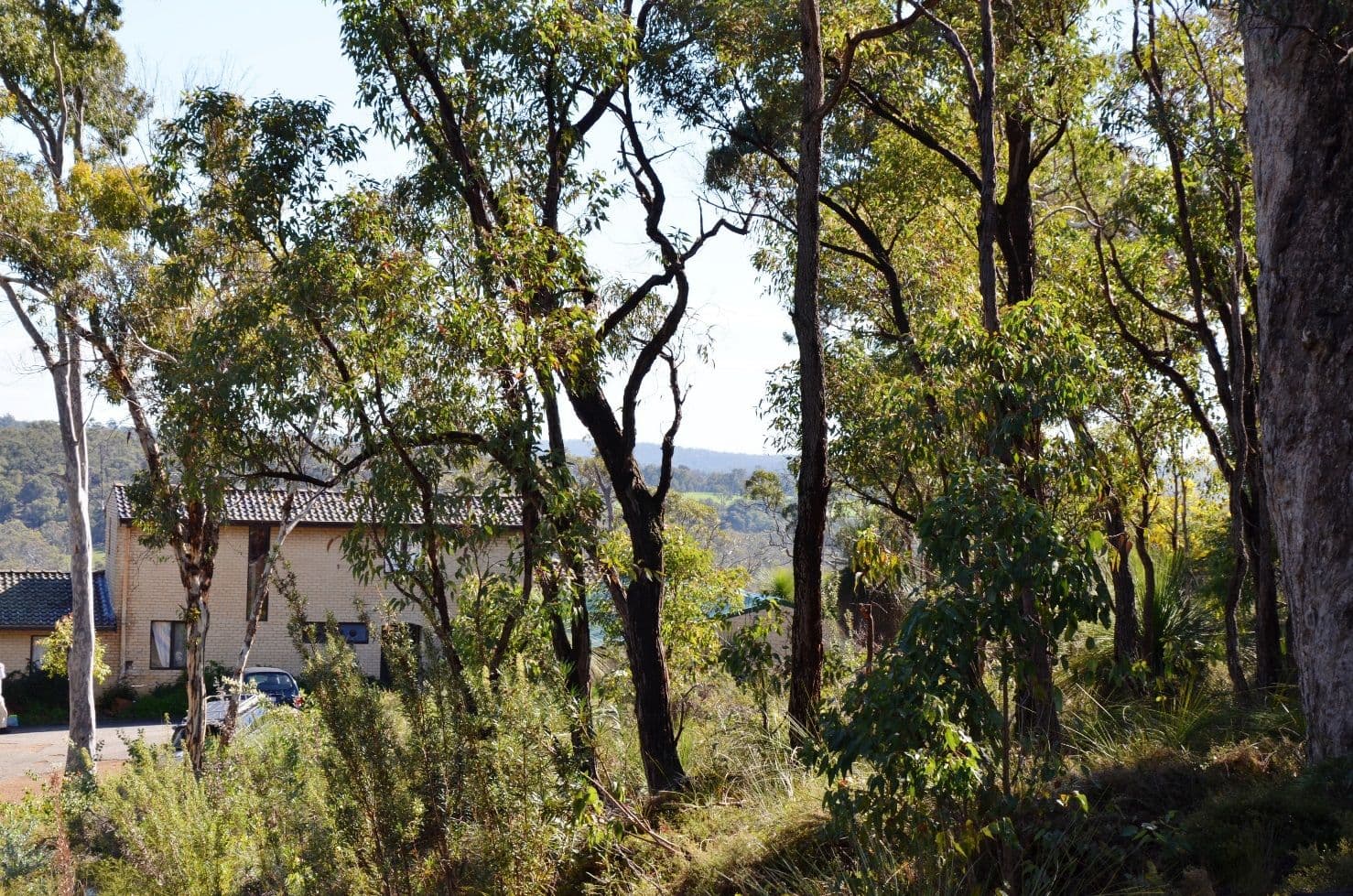 315 Reen Road, Gidgegannup WA 6083, Gidgegannup - Thumbnail 4