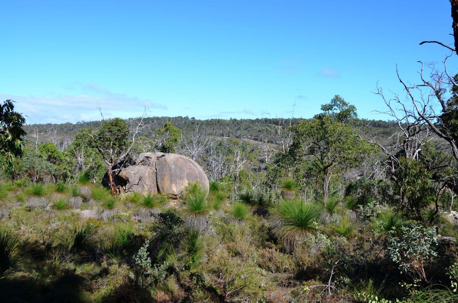 315 Reen Road, Gidgegannup WA 6083, Gidgegannup - Thumbnail 5